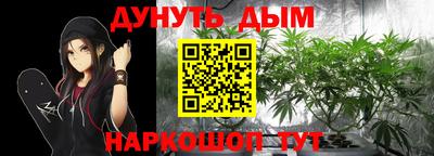 гидра Заводоуковск