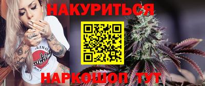 гидра Заводоуковск