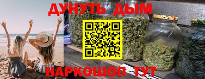 гидра Заводоуковск
