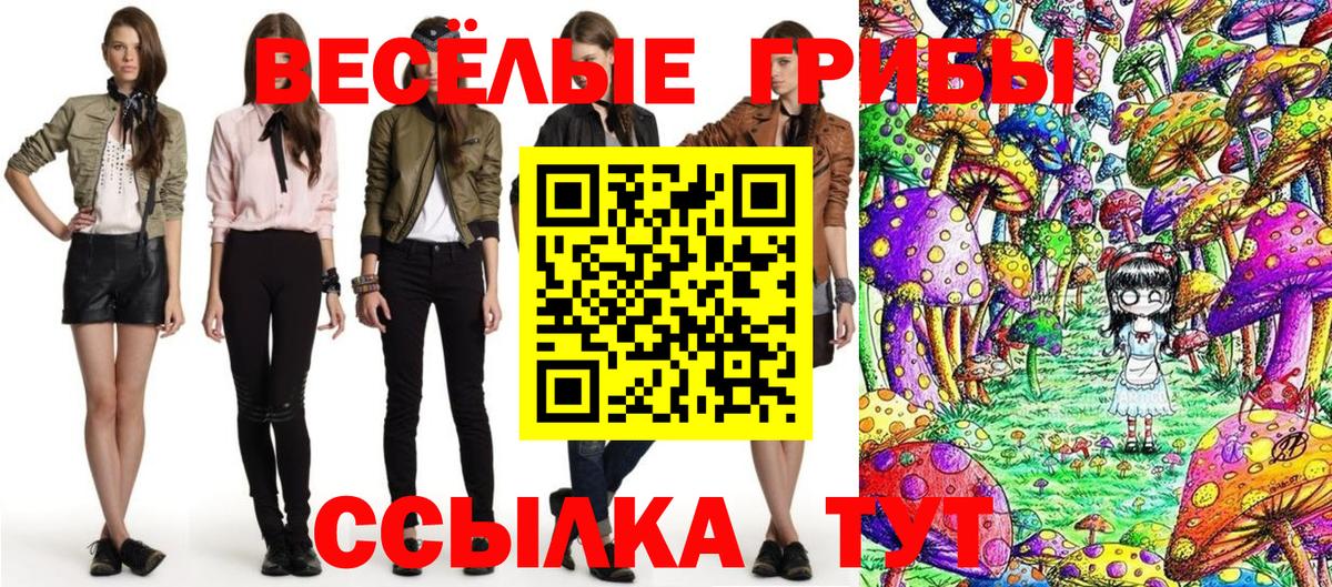 Псилоцибиновые грибы GOLDEN TEACHER Мичуринск