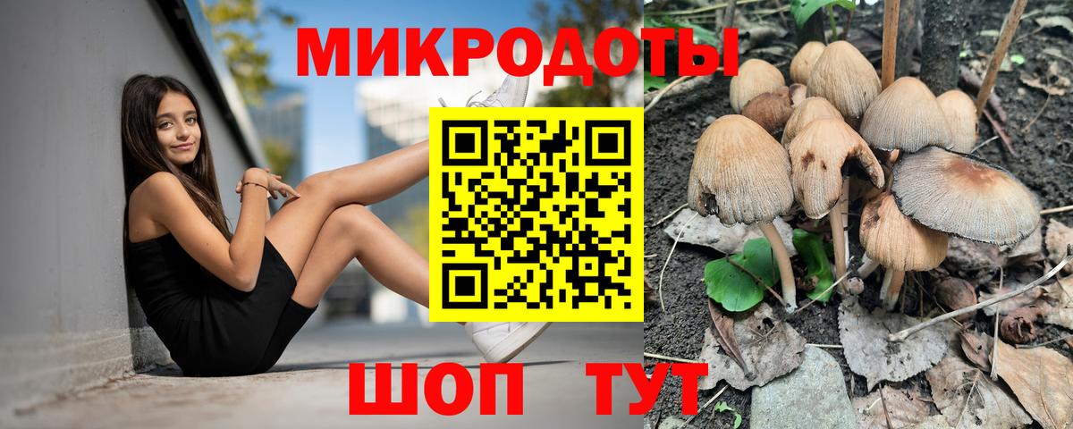 Мичуринск  Псилоцибиновые грибы Psilocybe  Вход с VPN 